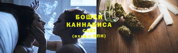 хмурый Горно-Алтайск