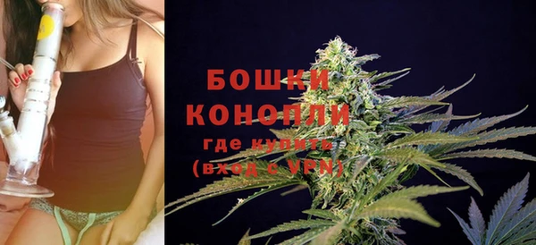 хмурый Горно-Алтайск