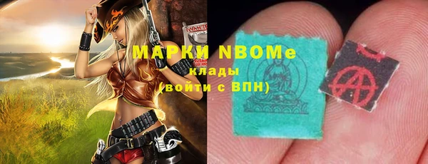 хмурый Горно-Алтайск