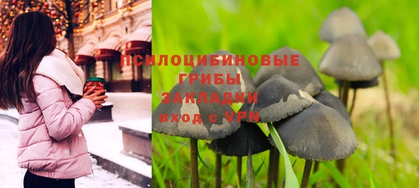 хмурый Горно-Алтайск
